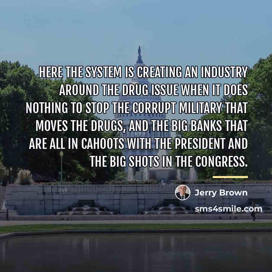“Here the system is creating an industry around the drug…” quote by Jerry Brown