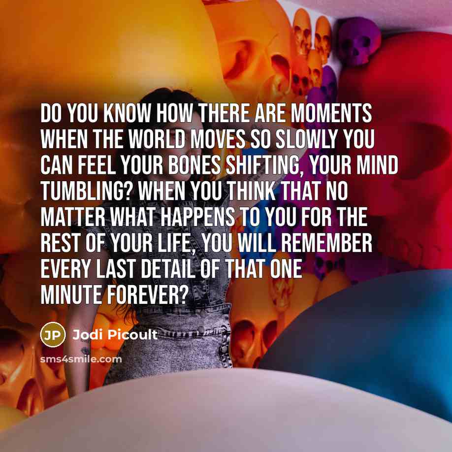“Do you know how there are moments when the world…” quote by Jodi Picoult