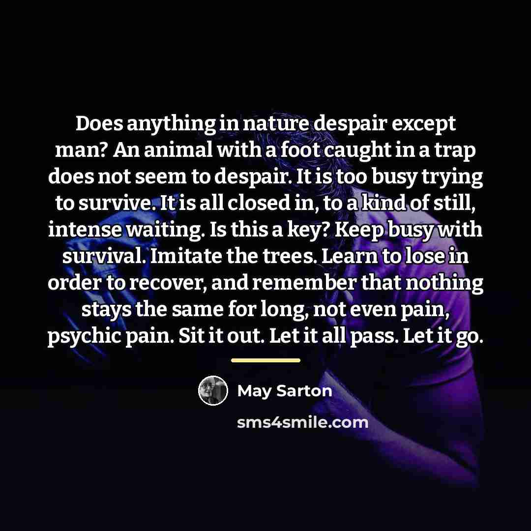 “Does anything in nature despair except man? An animal with…” quote by May Sarton