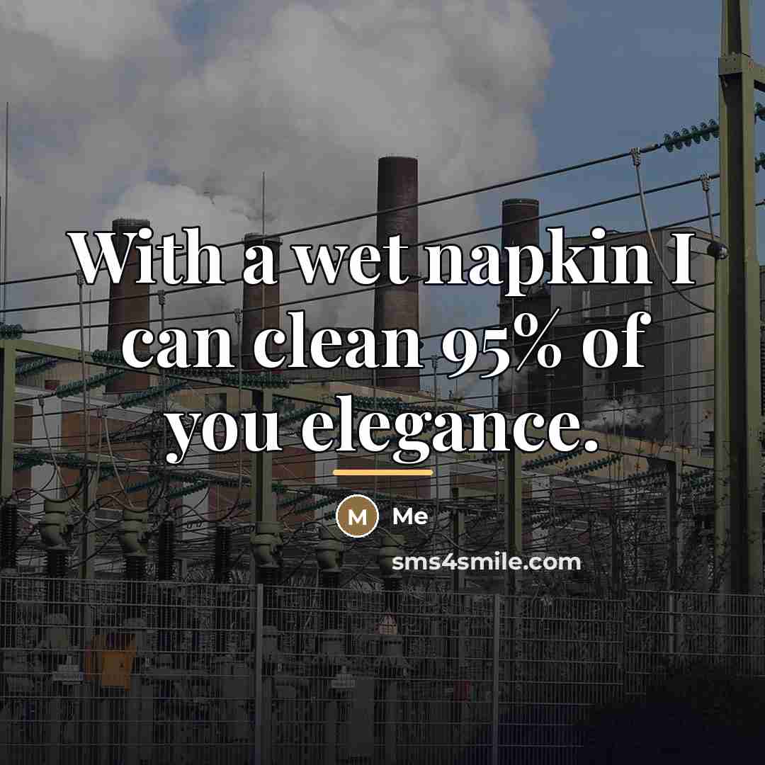“With a wet napkin I can clean 95% of you…” quote by Me