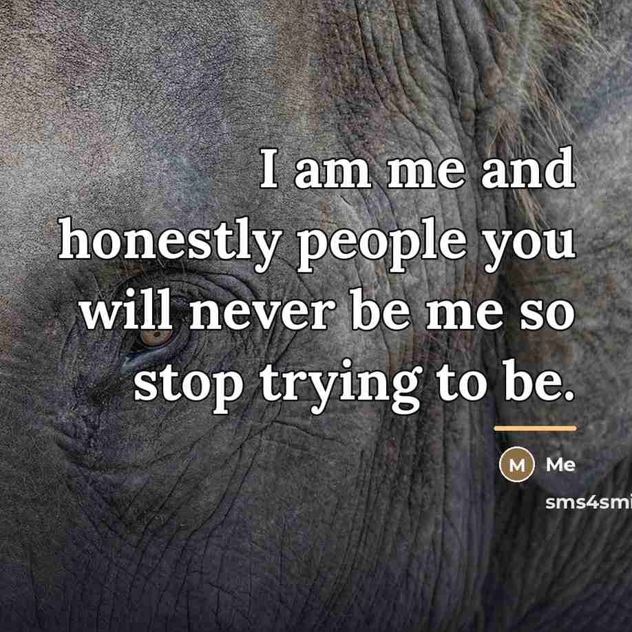 “I am me and honestly people you will never be…” quote by Me