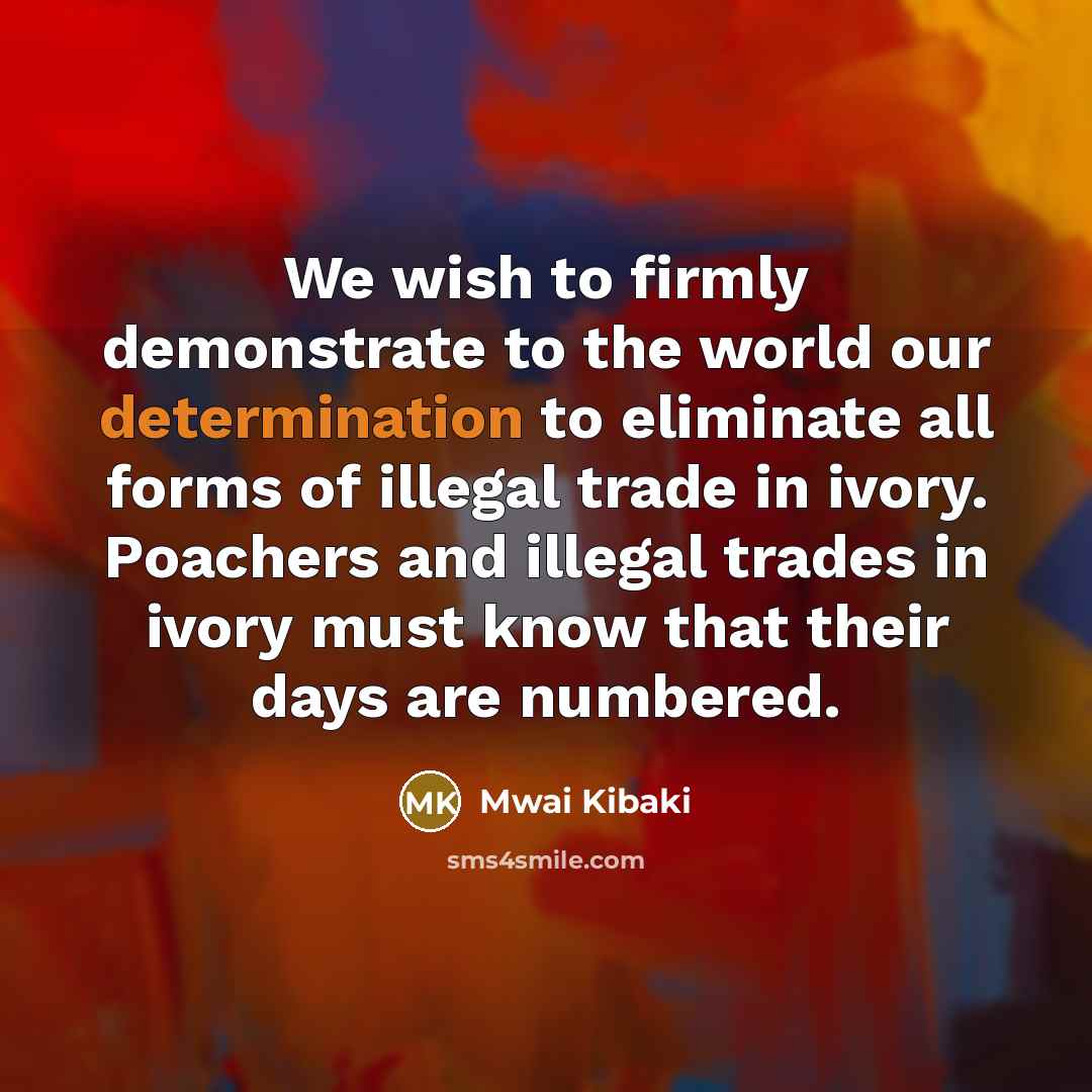 “We wish to firmly demonstrate to the world our determination…” quote by Mwai Kibaki