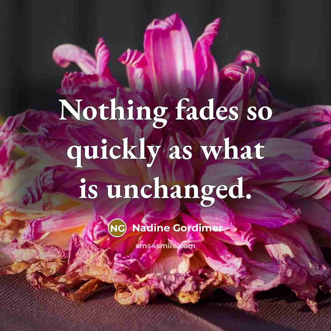 “Nothing fades so quickly as what is unchanged.…” quote by Nadine Gordimer