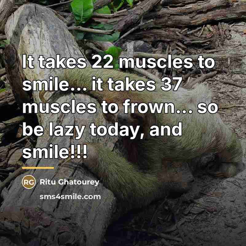 “It takes 22 muscles to smile... it takes 37 muscles…” quote by Ritu Ghatourey