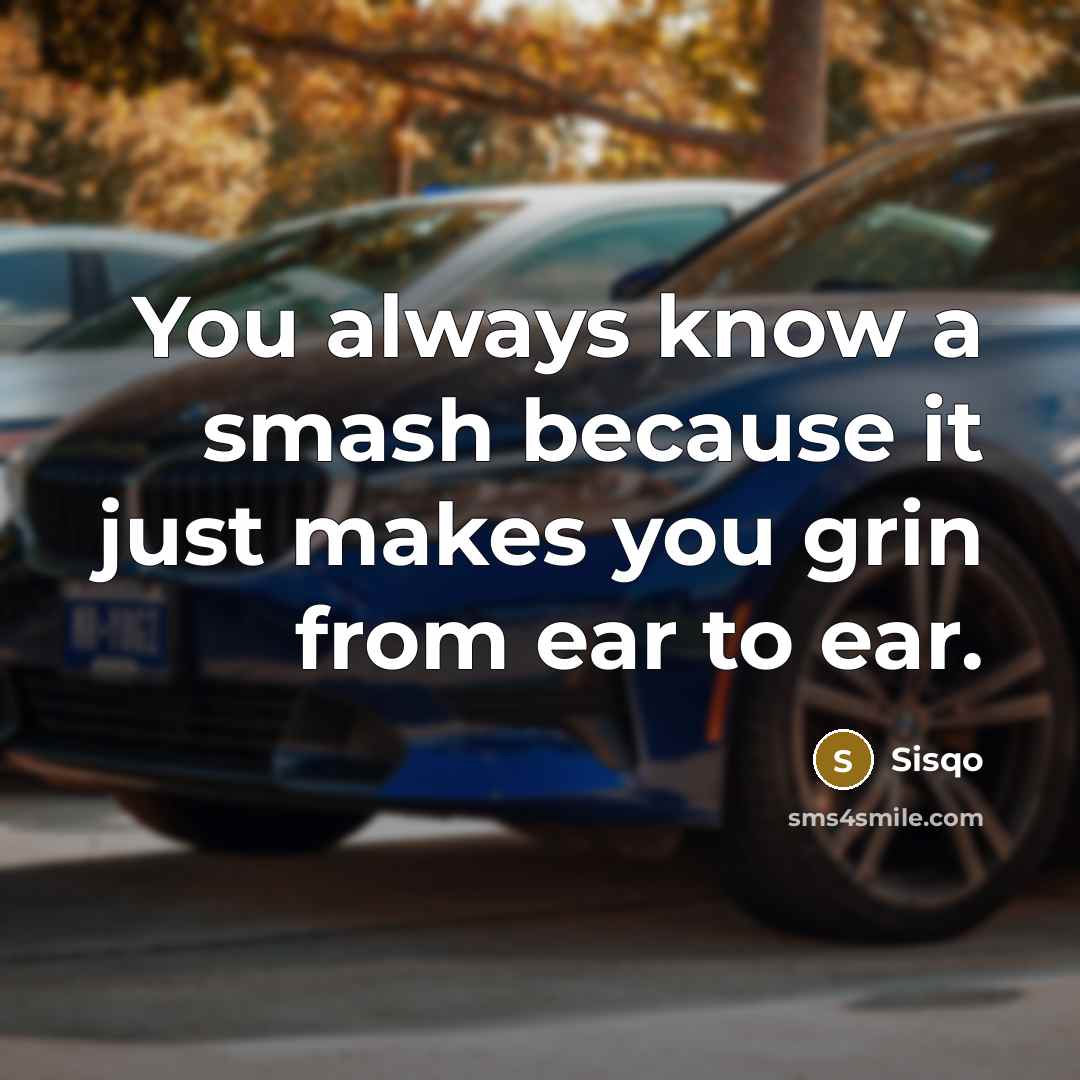 “You always know a smash because it just makes you…” quote by Sisqo