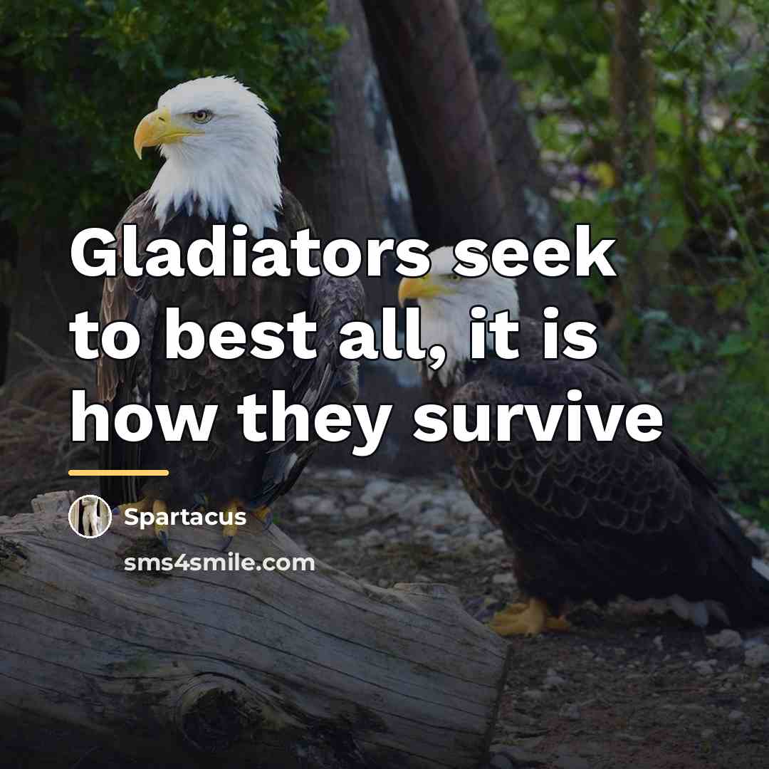 “Gladiators seek to best all, it is how they survive…” quote by Spartacus