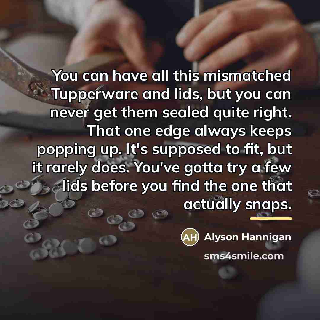 “You can have all this mismatched Tupperware and lids, but…” quote by Alyson Hannigan