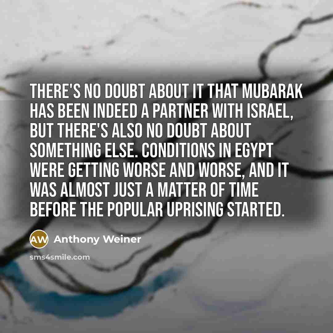 “There's no doubt about it that Mubarak has been indeed…” quote by Anthony Weiner