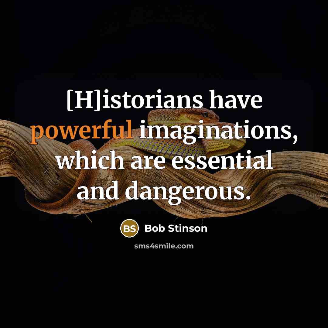“[H]istorians have powerful imaginations, which are essential and dangerous.…” quote by Bob Stinson