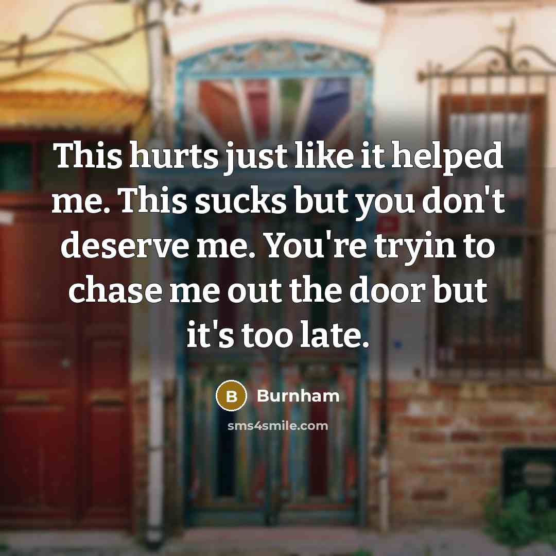 “This hurts just like it helped me. This sucks but…” quote by Burnham