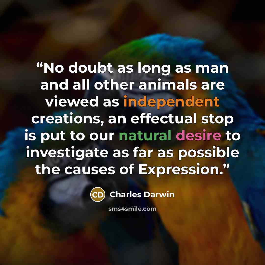 “No doubt as long as man and all other animals are viewed as independent creations, an effectual stop is put to our natural desire to investigate as far as possible the causes of Expression.” quote by Charles Darwin