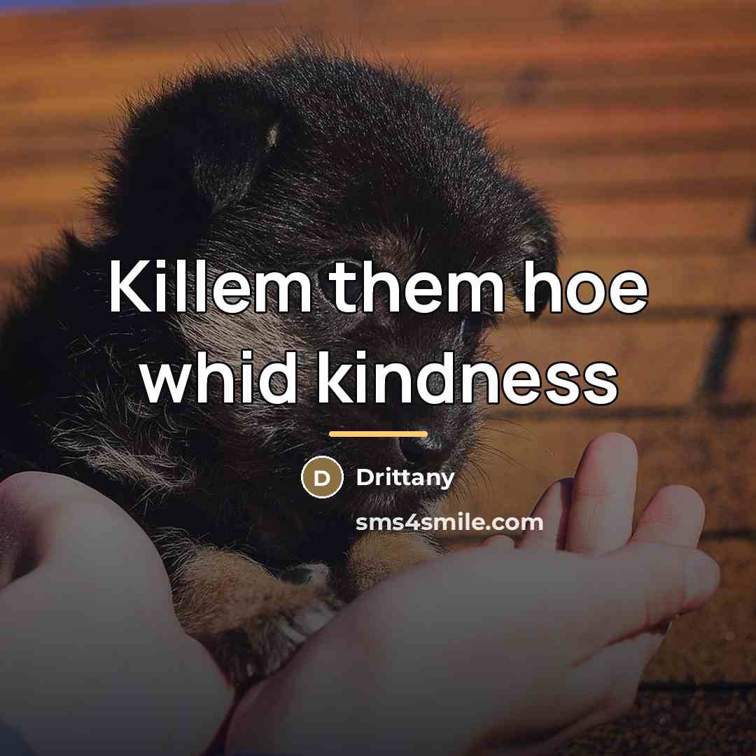 “Killem them hoe whid kindness…” quote by Drittany