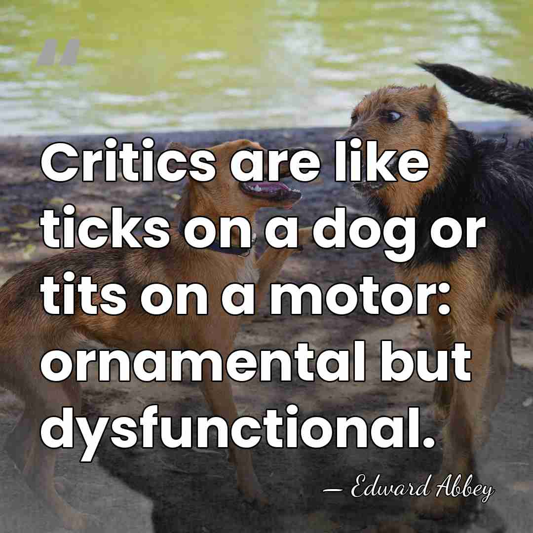 Critics are like ticks on a dog or tits on a motor:&hellip; - Edward Abbey