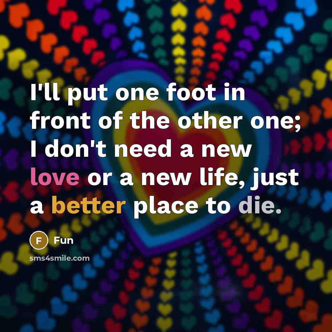 “I'll put one foot in front of the other one; I don't need a new love or a new life, just a better place to die.” quote by Fun