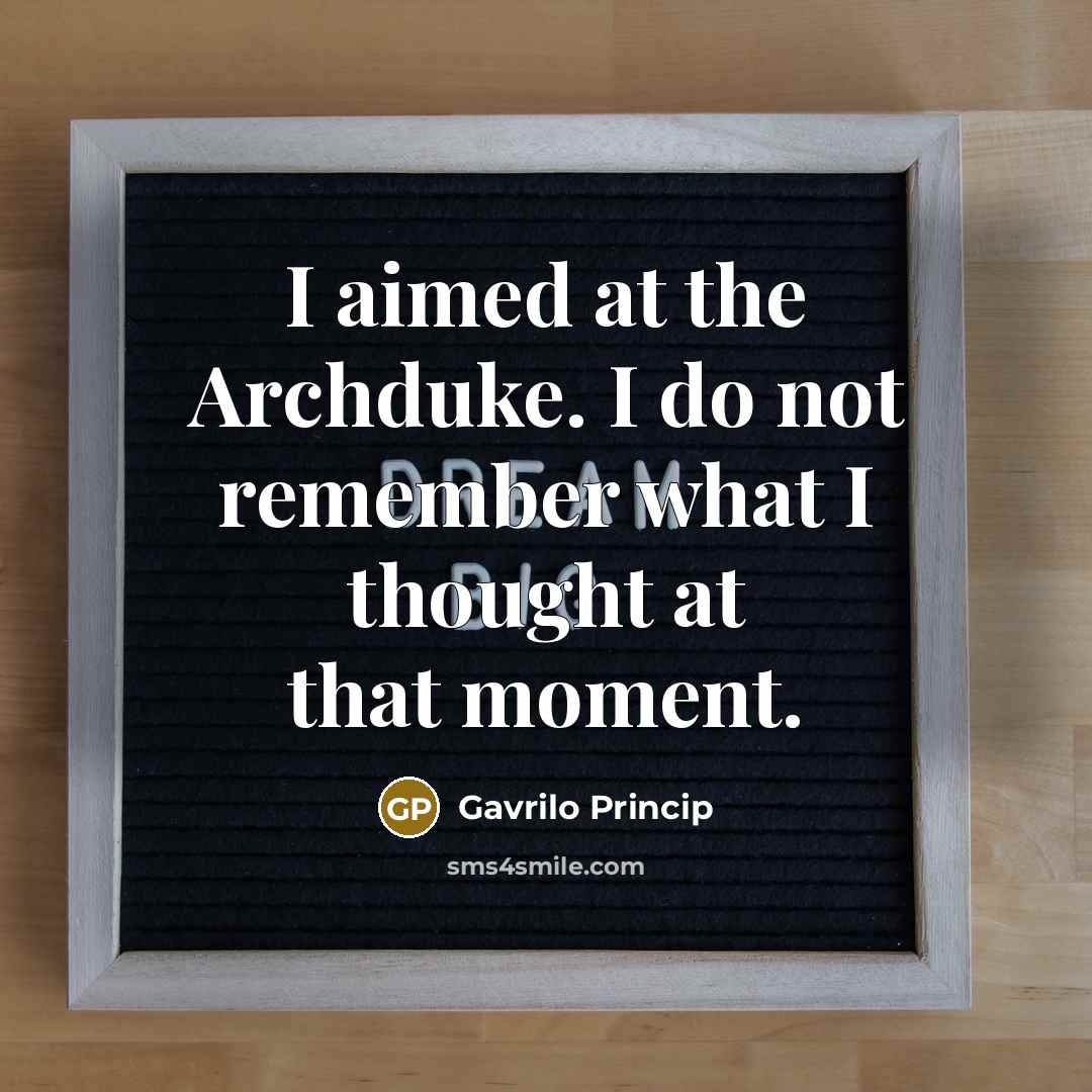 “I aimed at the Archduke. I do not remember what…” quote by Gavrilo Princip