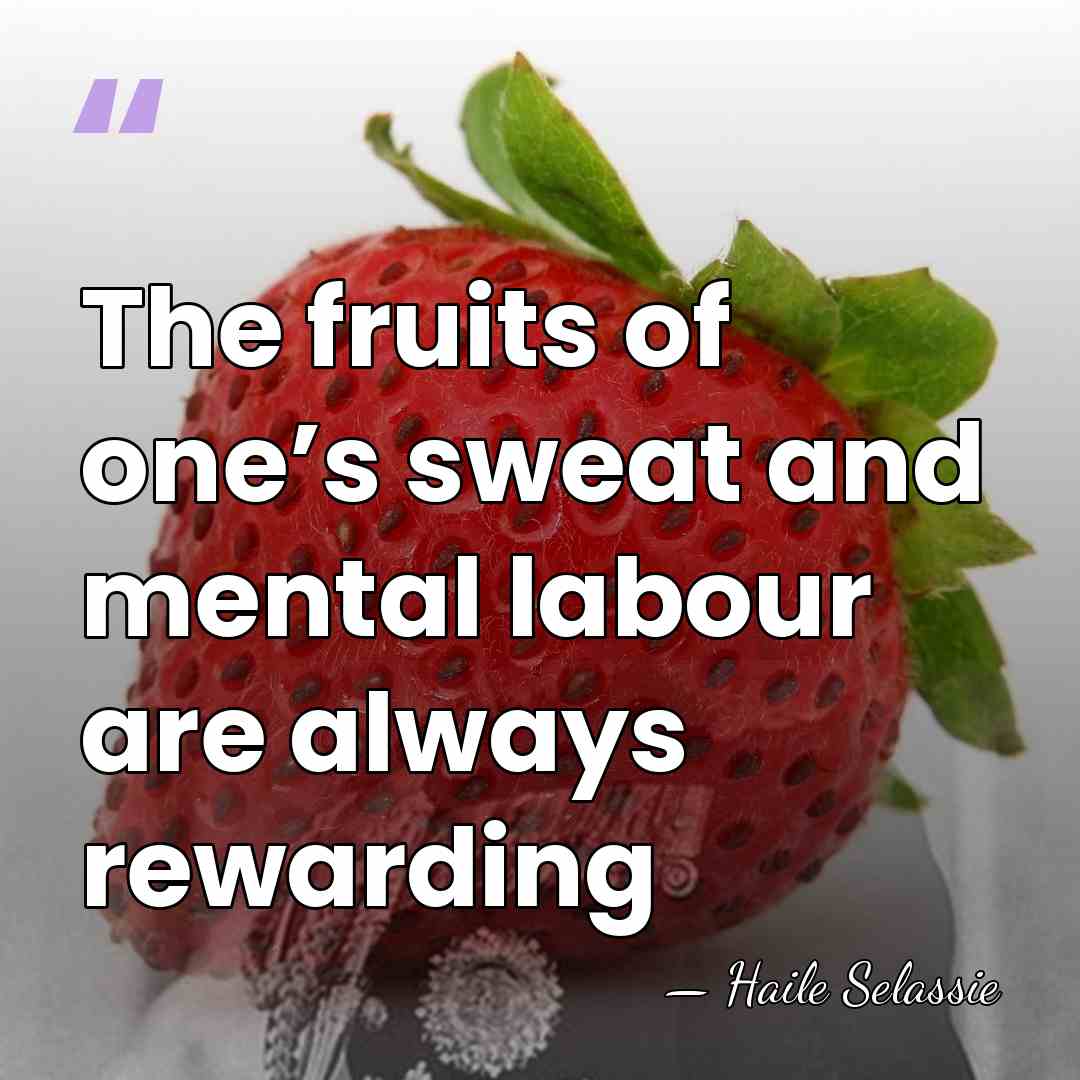 The fruits of one’s sweat and mental labour are always rewarding - Haile Selassie