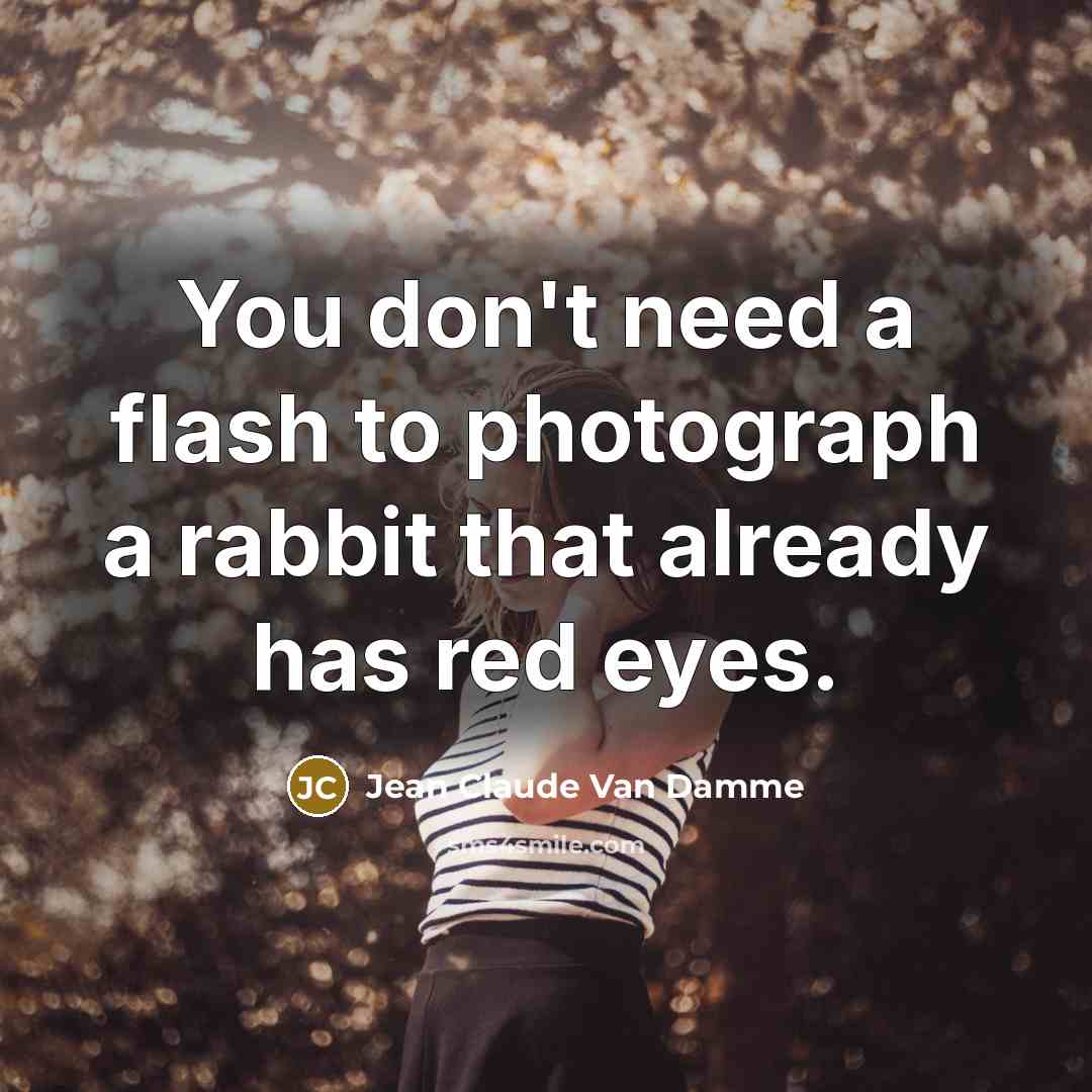 “You don't need a flash to photograph a rabbit that already has red eyes.” quote by Jean Claude Van Damme