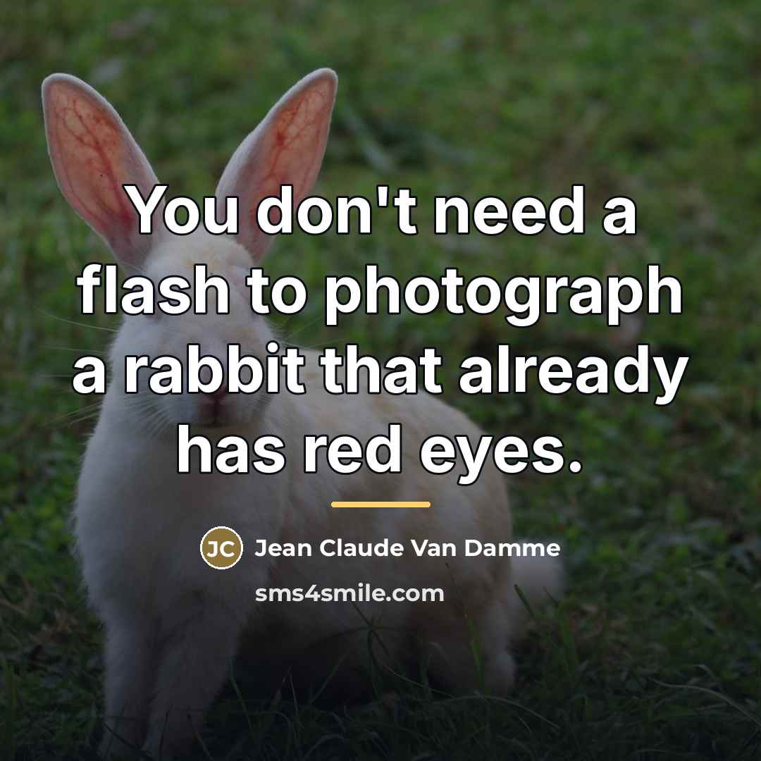 “You don't need a flash to photograph a rabbit that…” quote by Jean Claude Van Damme