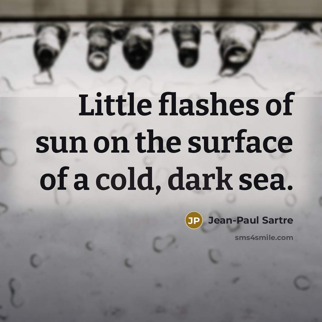 “Little flashes of sun on the surface of a cold,…” quote by Jean-Paul Sartre