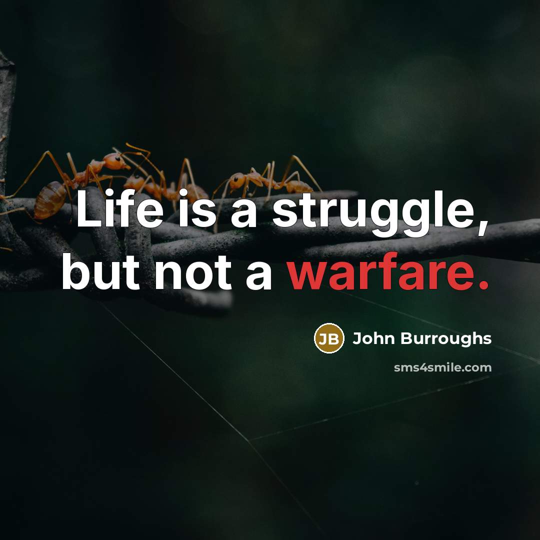 “Life is a struggle, but not a warfare.…” quote by John Burroughs