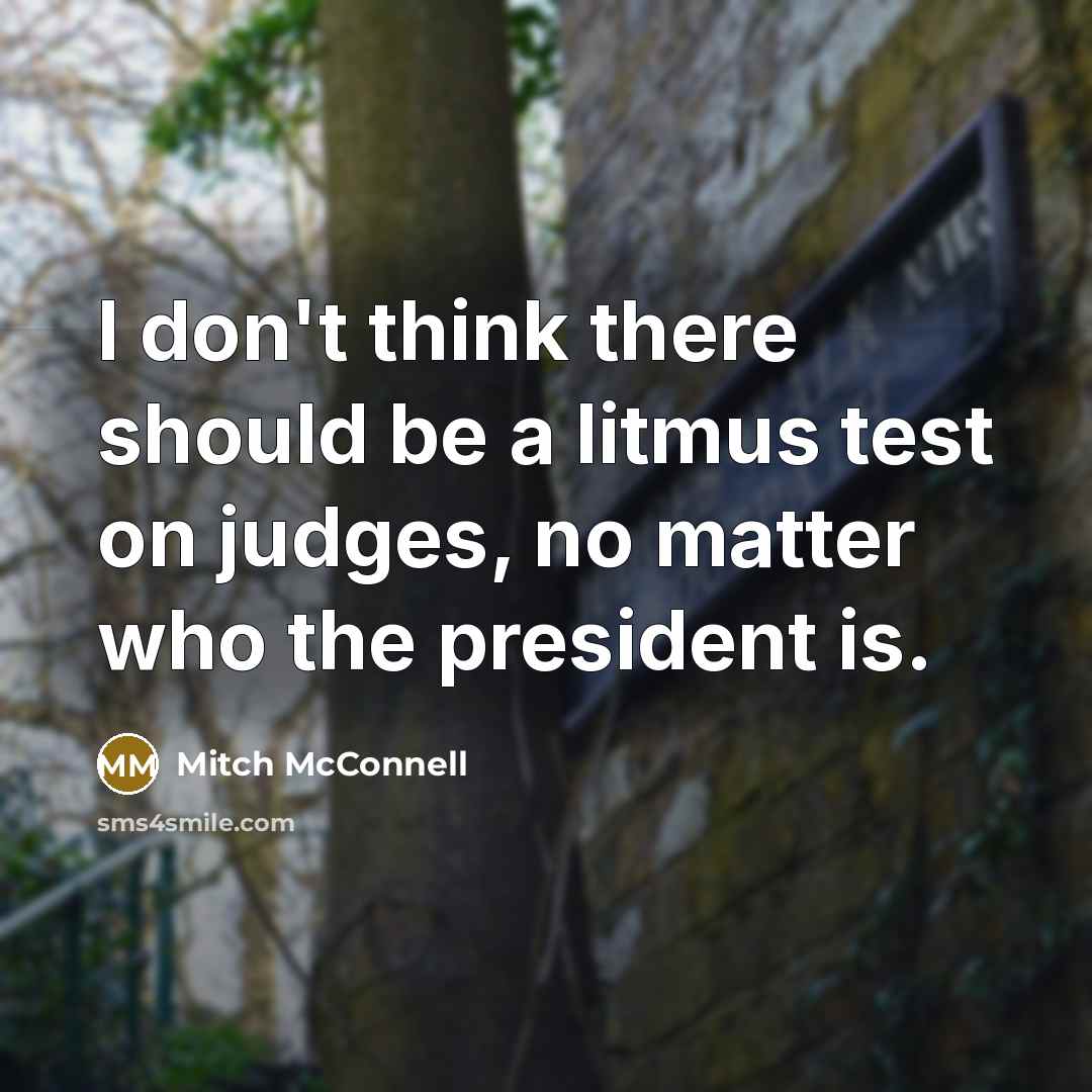 “I don't think there should be a litmus test on…” quote by Mitch McConnell