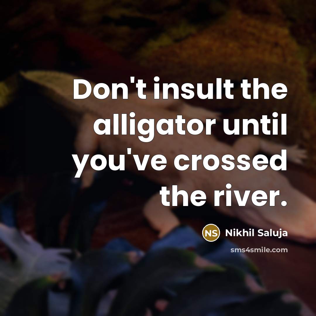 “Don't insult the alligator until you've crossed the river.” quote by Nikhil Saluja