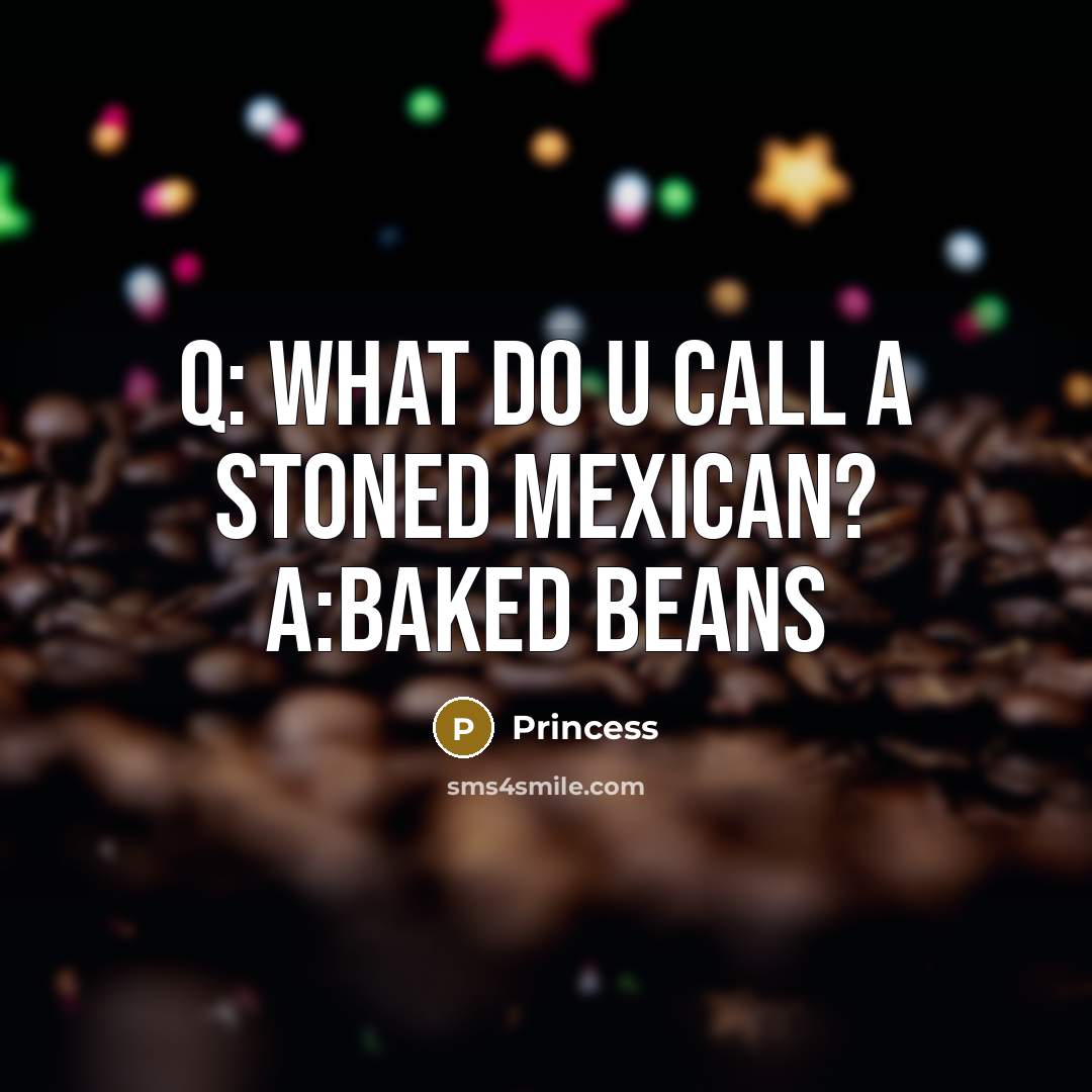 “Q: what do u call a stoned Mexican? A:baked beans…” quote by PRiNcEsS