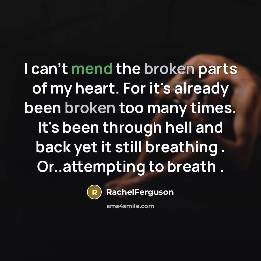 “I can't mend the broken parts of my heart. For it's already been broken too many times. It's been through hell and back yet it still breathing . Or..attempting to breath .” quote by RachelFerguson