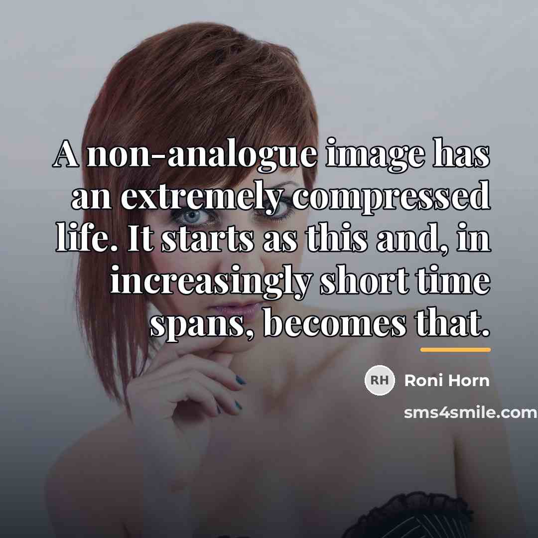 “A non-analogue image has an extremely compressed life. It starts…” quote by Roni Horn