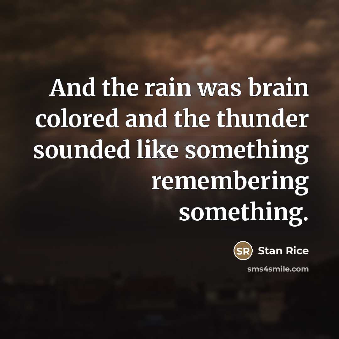“And the rain was brain colored and the thunder sounded…” quote by Stan Rice