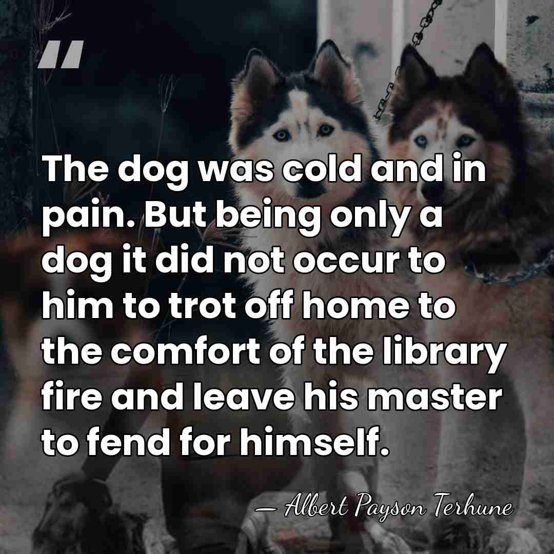 The dog was cold and in pain. But being only a dog&hellip; - Albert Payson Terhune