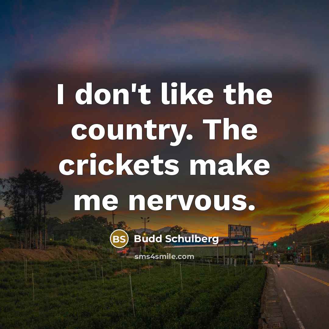 “I don't like the country. The crickets make me nervous.…” quote by Budd Schulberg