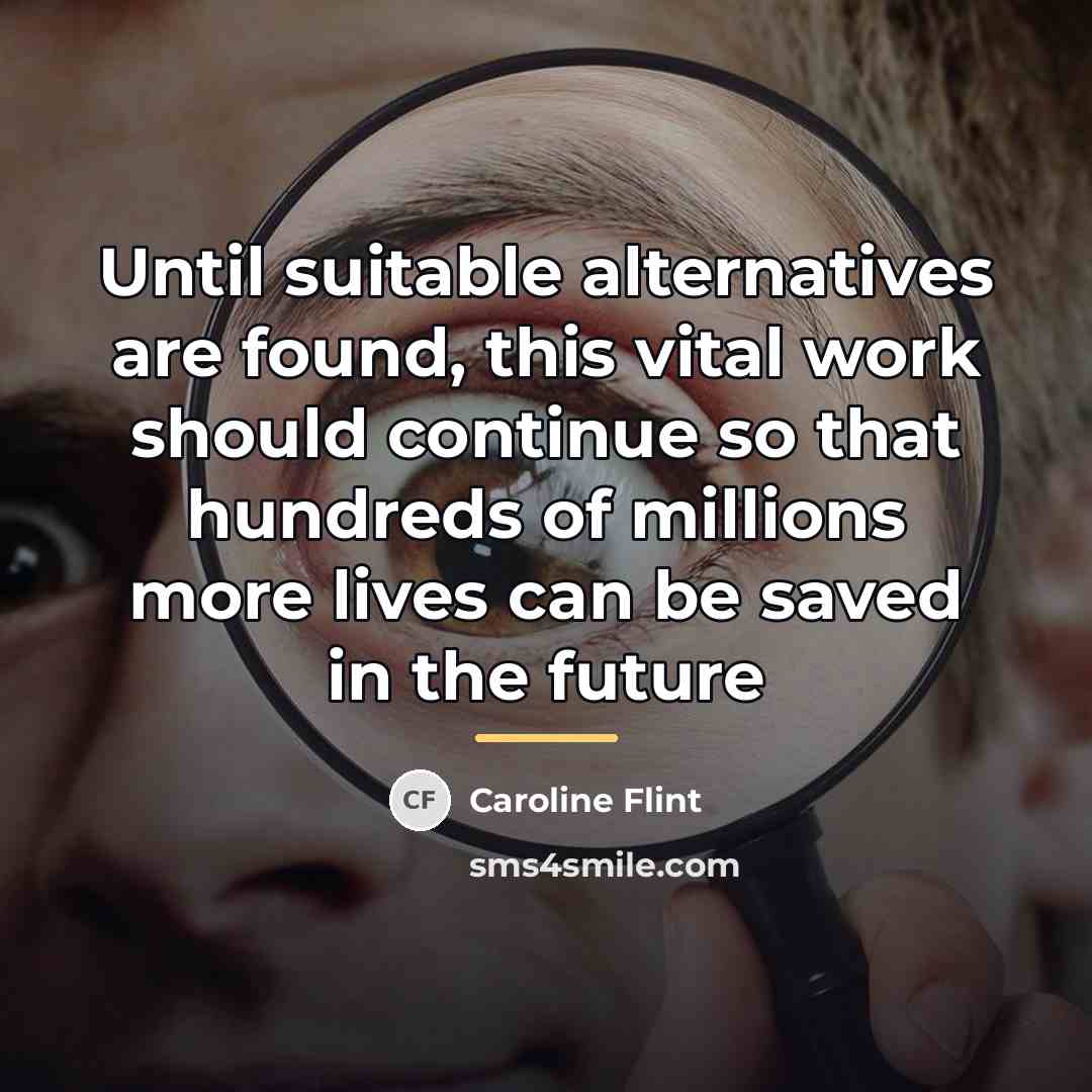 “Until suitable alternatives are found, this vital work should continue…” quote by Caroline Flint