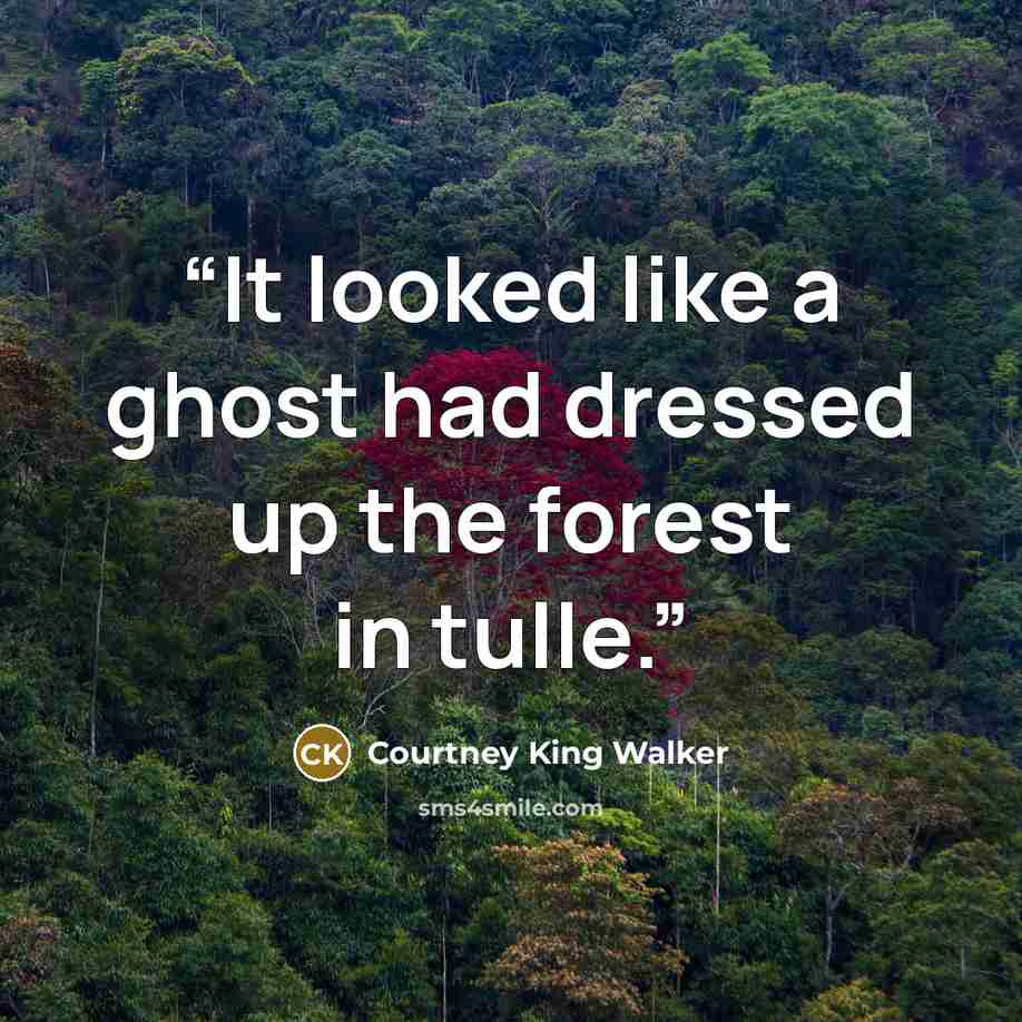 “It looked like a ghost had dressed up the forest in tulle.” quote by Courtney King Walker