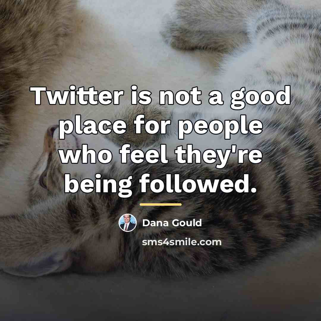“Twitter is not a good place for people who feel…” quote by Dana Gould