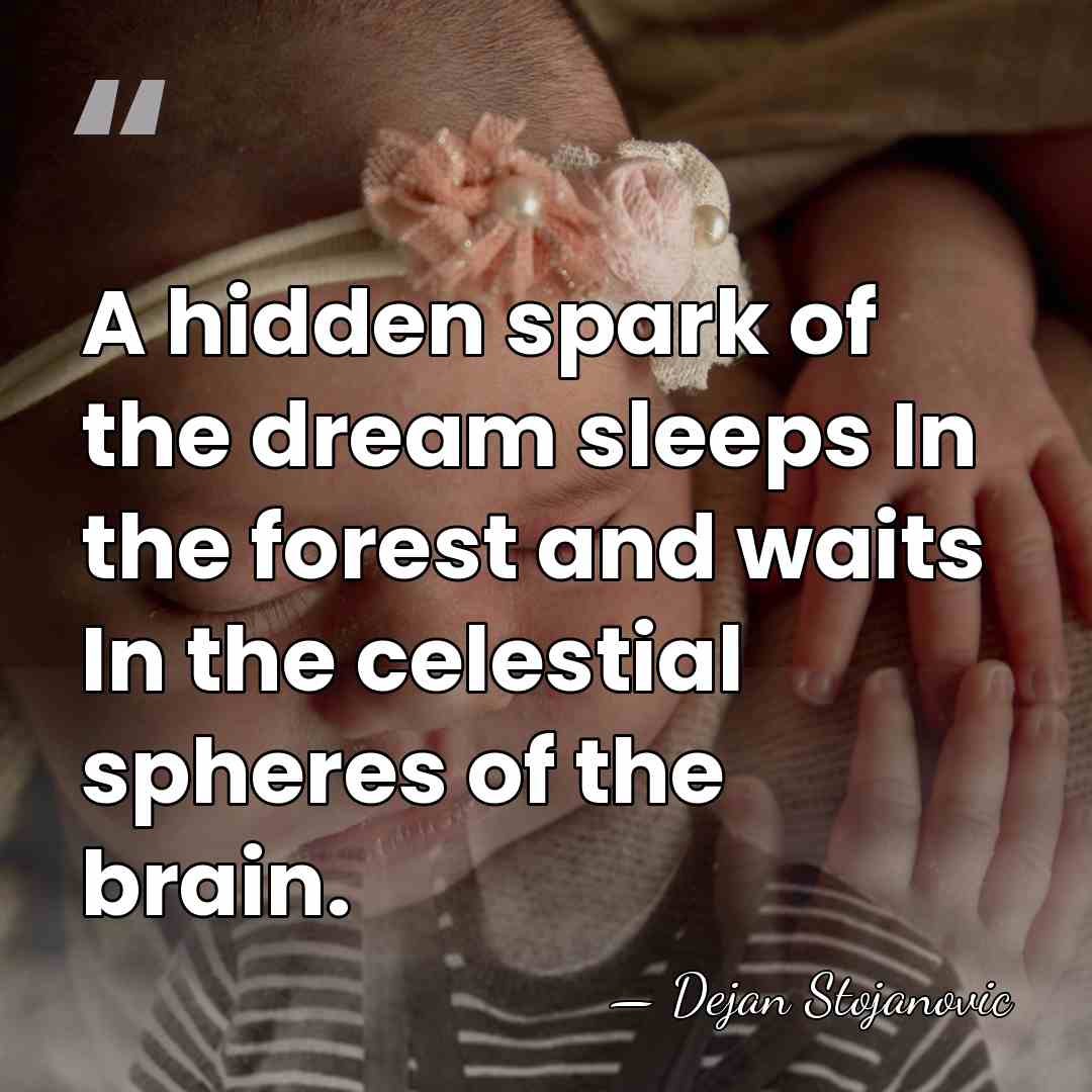 A hidden spark of the dream sleeps In the forest and waits&hellip; - Dejan Stojanovic