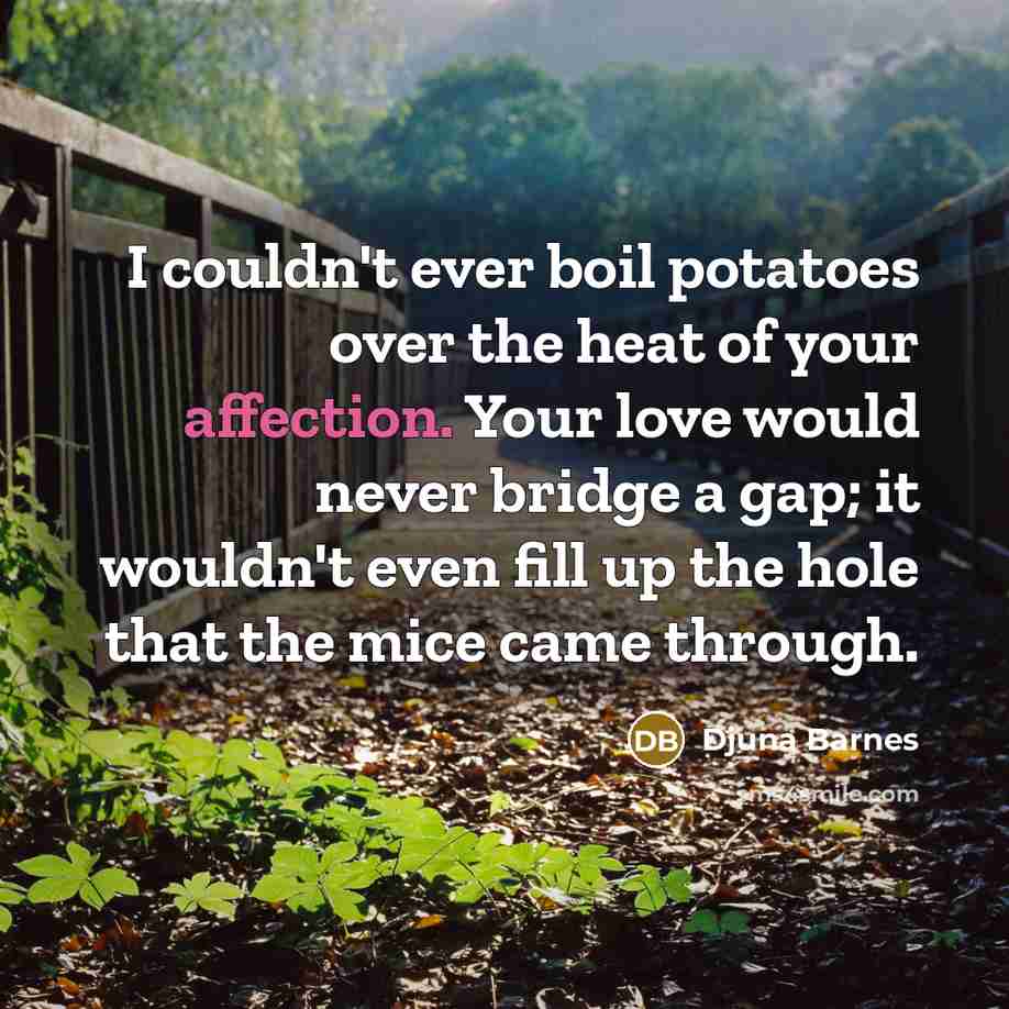 “I couldn't ever boil potatoes over the heat of your…” quote by Djuna Barnes