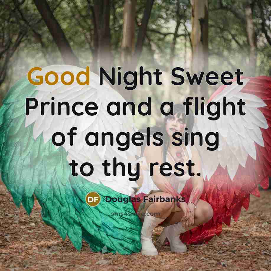 “Good Night Sweet Prince and a flight of angels sing…” quote by Douglas Fairbanks