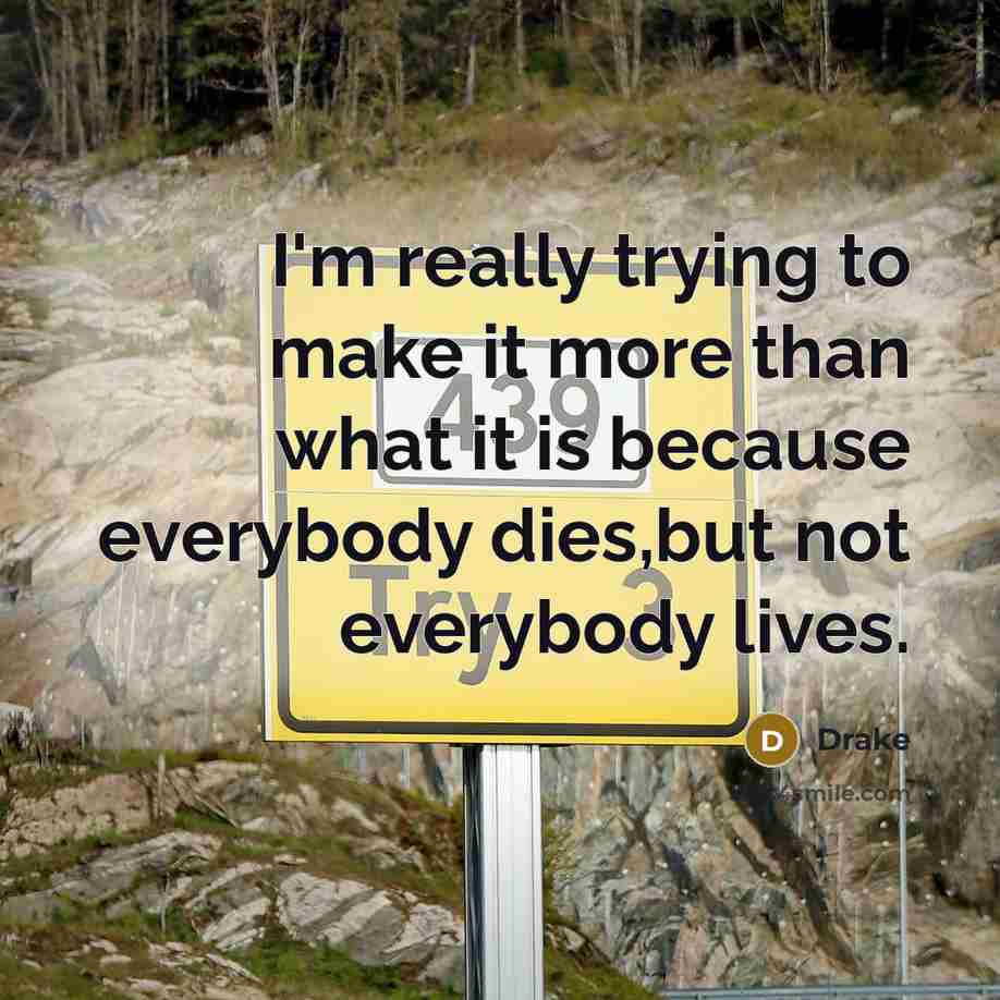 “I'm really trying to make it more than what it…” quote by Drake