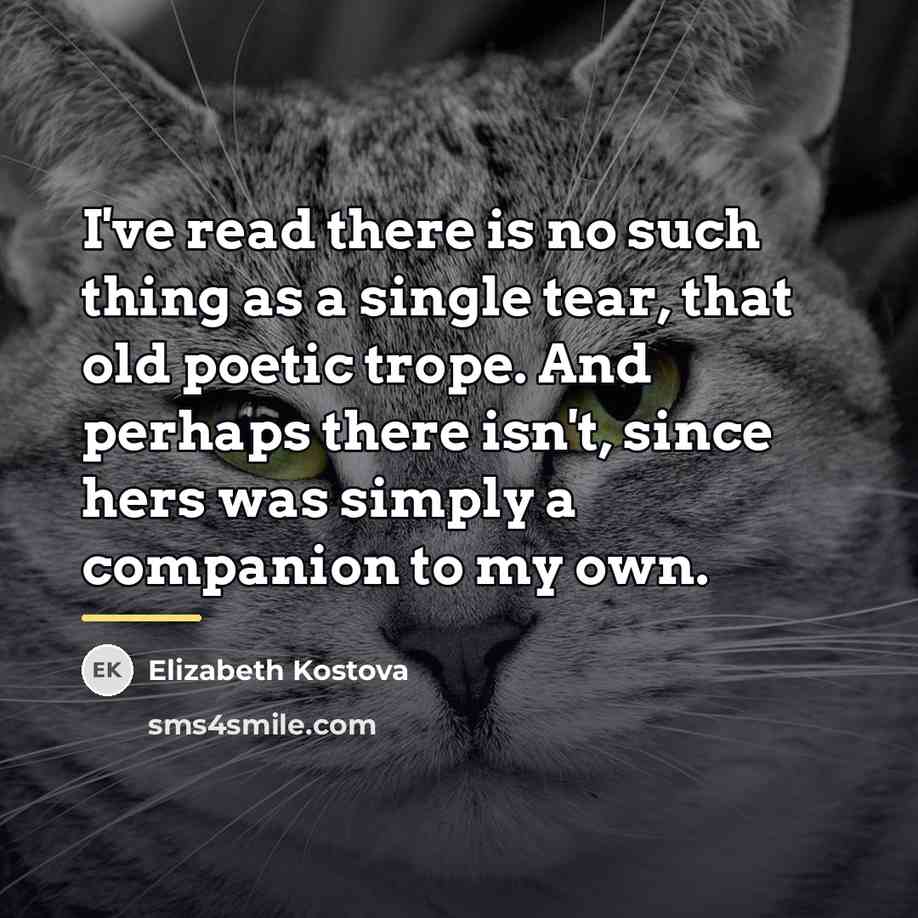 “I've read there is no such thing as a single…” quote by Elizabeth Kostova