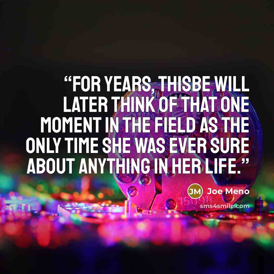 “For years, Thisbe will later think of that one moment in the field as the only time she was ever sure about anything in her life.” quote by Joe Meno