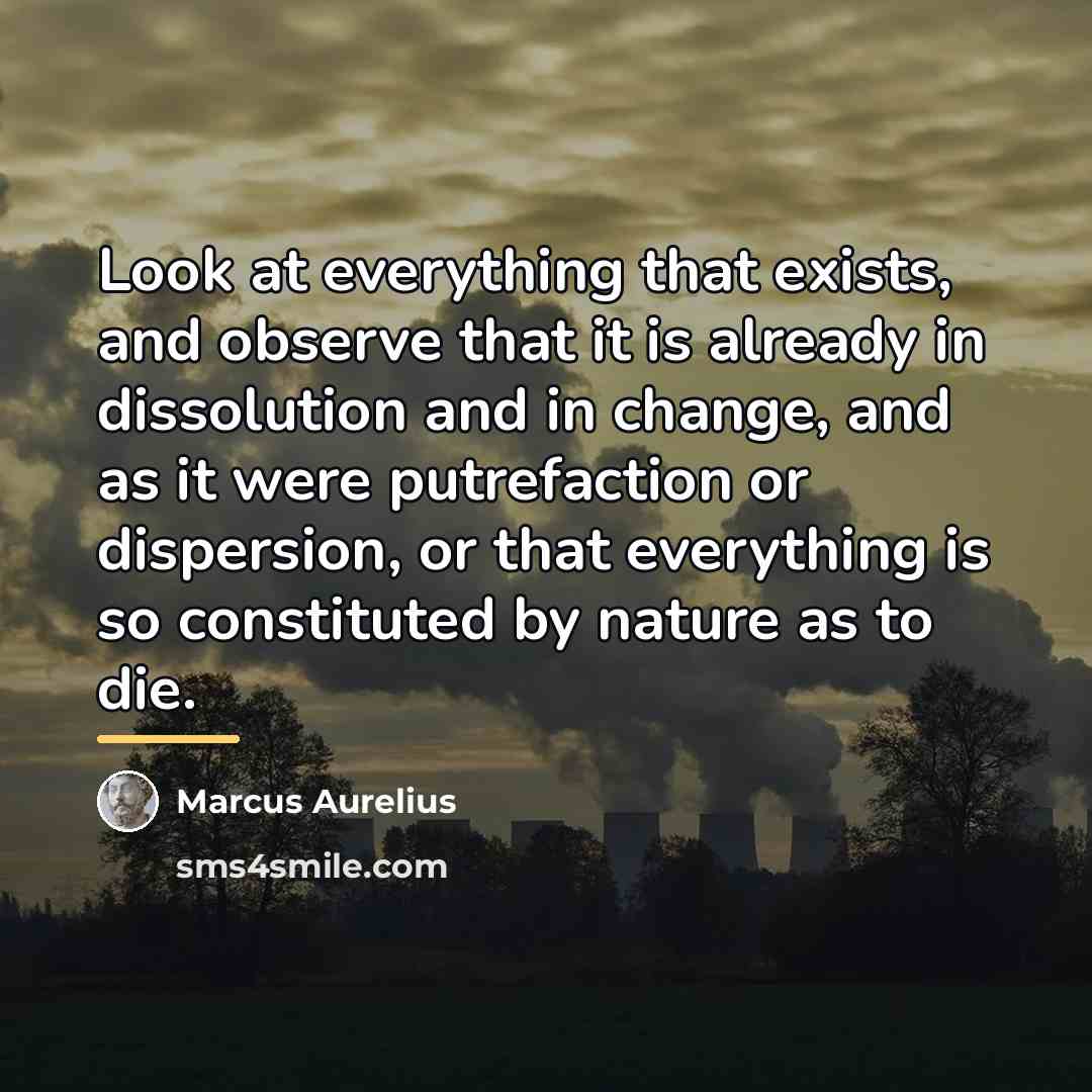 “Look at everything that exists, and observe that it is…” quote by Marcus Aurelius