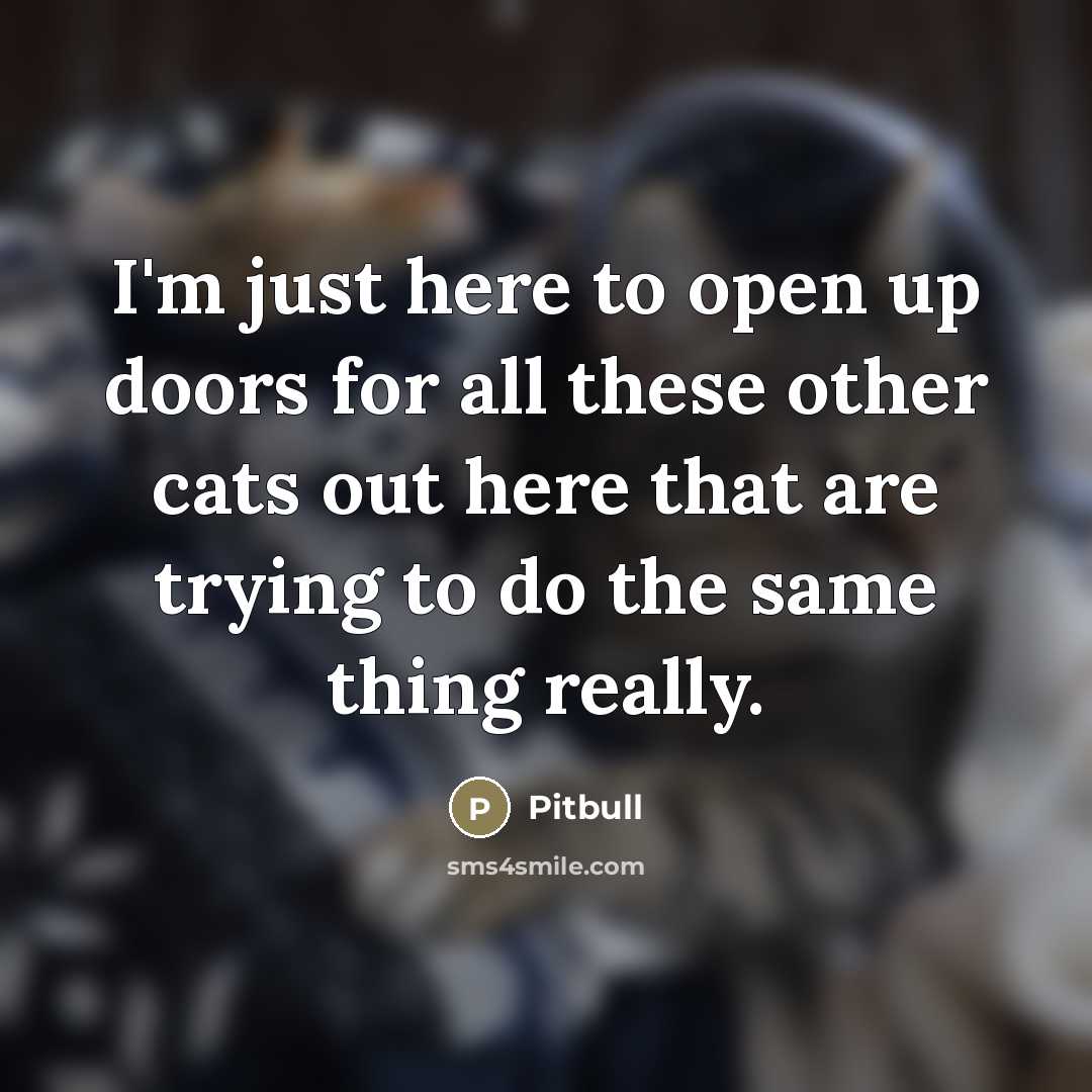 “I'm just here to open up doors for all these…” quote by Pitbull