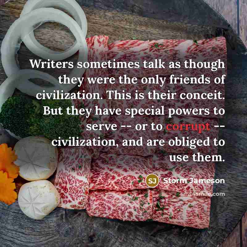“Writers sometimes talk as though they were the only friends…” quote by Storm Jameson
