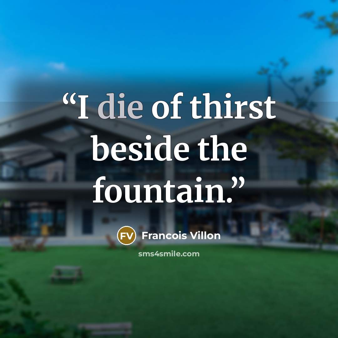 “I die of thirst beside the fountain.” quote by Francois Villon