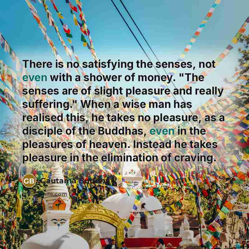 “There is no satisfying the senses, not even with a…” quote by Gautama Buddha