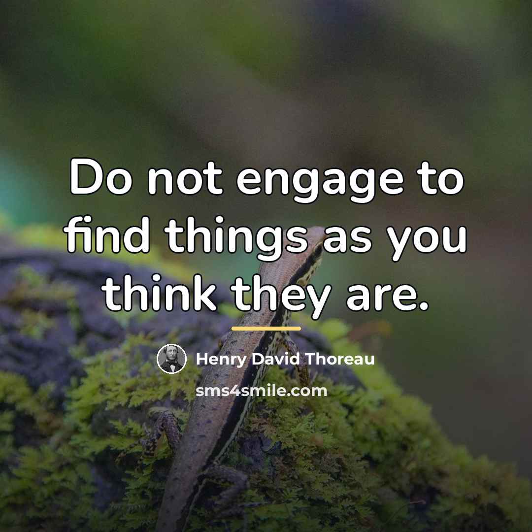 “Do not engage to find things as you think they…” quote by Henry David Thoreau