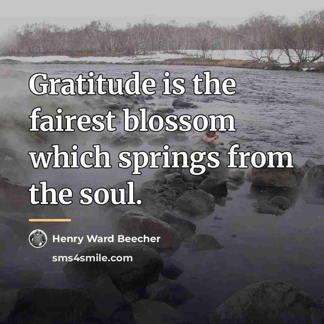 “Gratitude is the fairest blossom which springs from the soul.…” quote by Henry Ward Beecher