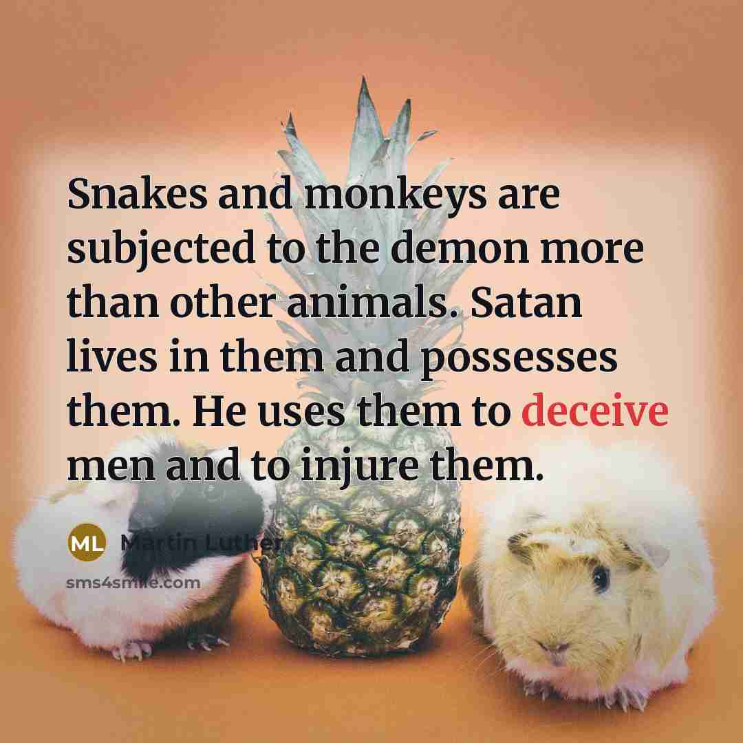 “Snakes and monkeys are subjected to the demon more than…” quote by Martin Luther
