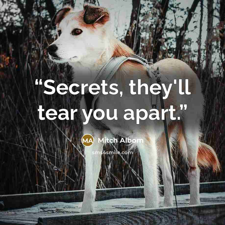 “Secrets, they'll tear you apart.” quote by Mitch Albom